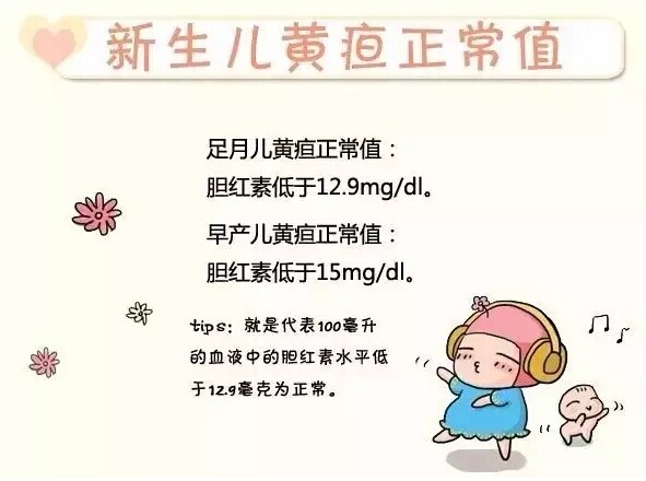 爱君家政